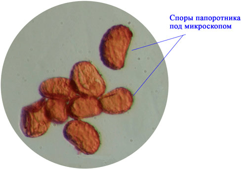 Решение рисунок 2