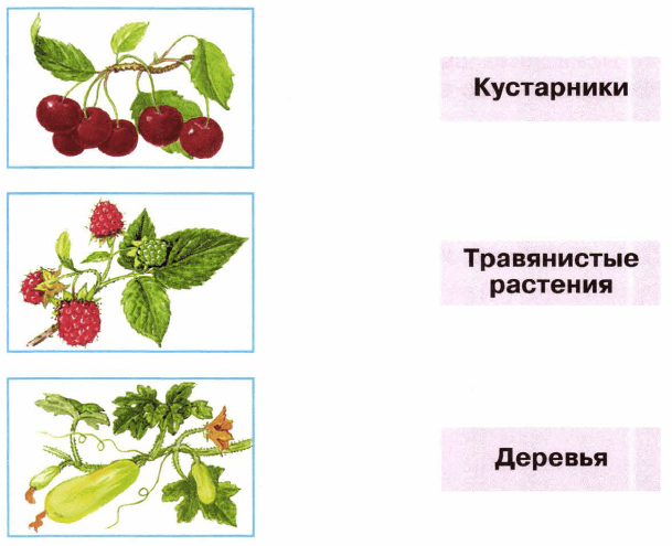 Задание рисунок 1