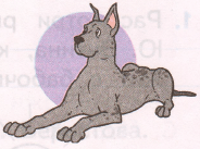 Задание рисунок 1