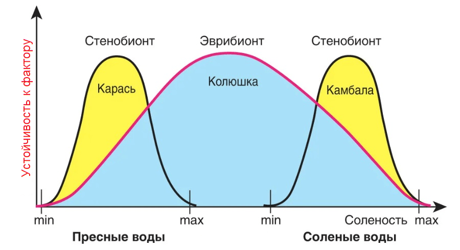 Решение рисунок 1