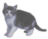 Задание рисунок 1